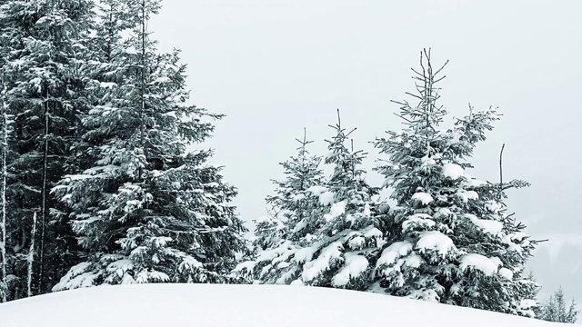 美丽的冬季景观和白雪覆盖的树木。冬天的山。视频素材