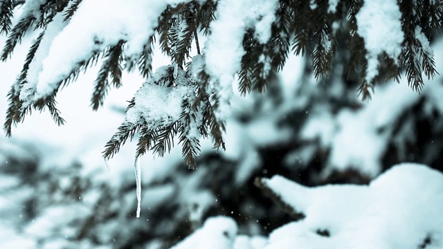 美丽的冬季景观和白雪覆盖的树木。冬天的山。视频素材