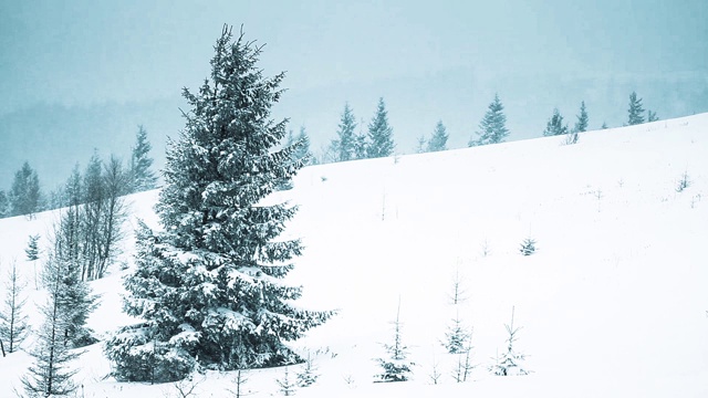 美丽的冬季景观和白雪覆盖的树木。冬天的山。视频素材