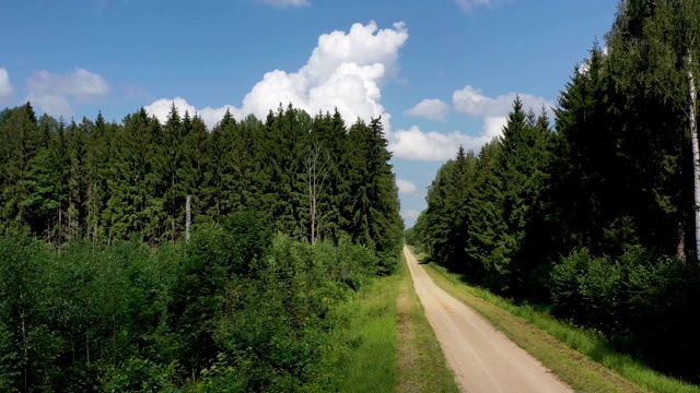 夏天的石子路在森林里，云雾缭绕视频素材