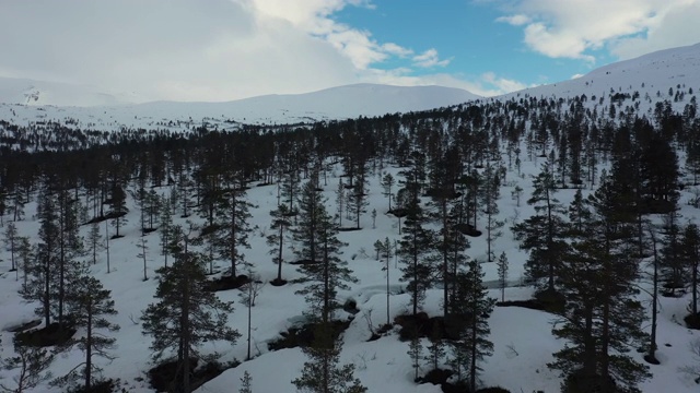 一架无人机拍下了挪威的冰雪森林视频素材