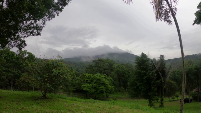 泰国美丽的乡村风景。视频素材