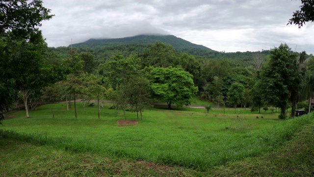 雾在山视频素材