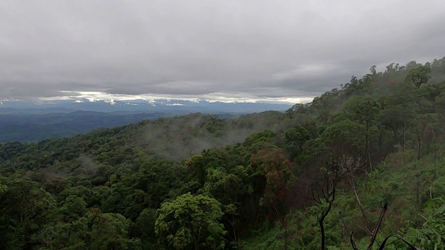 雾笼罩着雨林和山脉视频素材