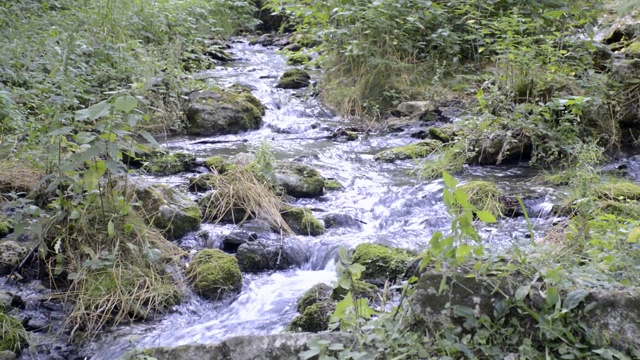 一条小山涧从这些石头上流过视频素材