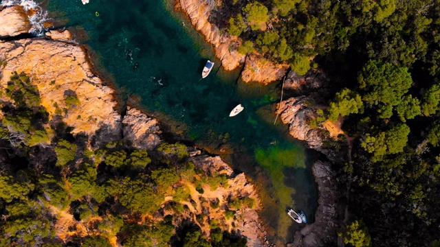 夏天西班牙美丽的布拉瓦海岸鸟瞰图。视频素材