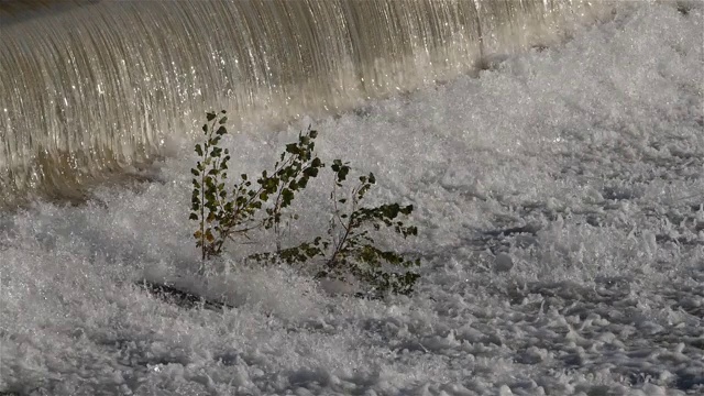 Wild river, Occitanie，法国视频素材