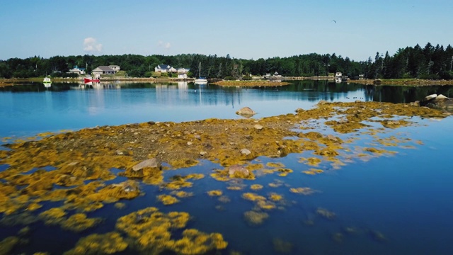 Nova Scotian海岸线视频素材