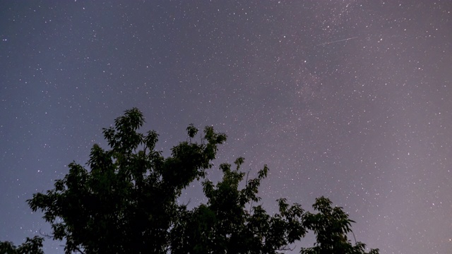 星星在夜空中旋转在树的剪影的背景上。时间流逝视频素材