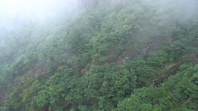 夏天山峰，云流视频素材