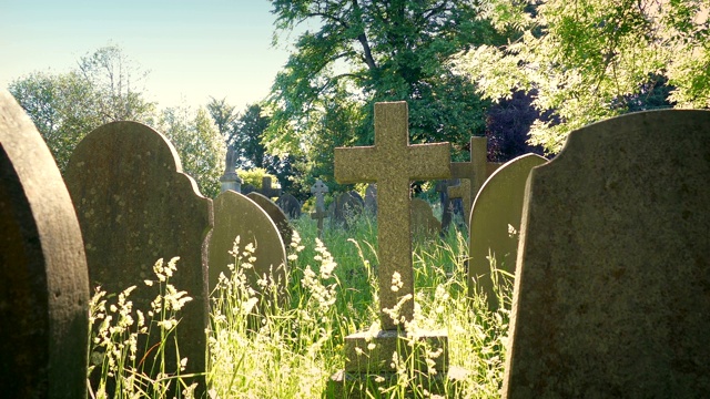 透过阳光下的墓地墓碑视频素材