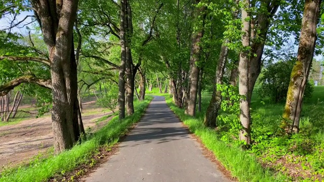 沿着春天公园的小路走，波夫视频素材