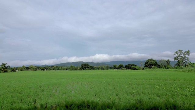 山水稻田，以山和天空为背景视频下载