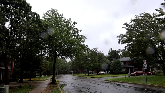 树木在暴雨和狂风中吹动树木视频素材