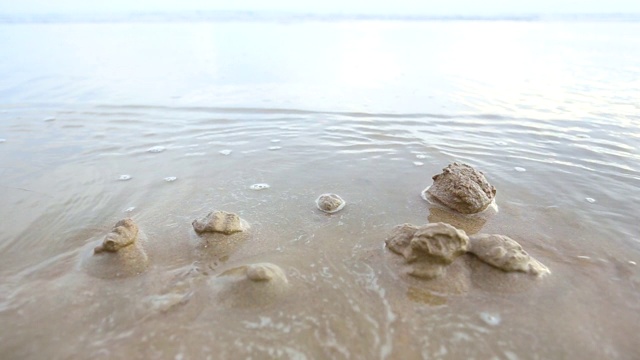 海滩上的沙子和海浪的特写视频下载