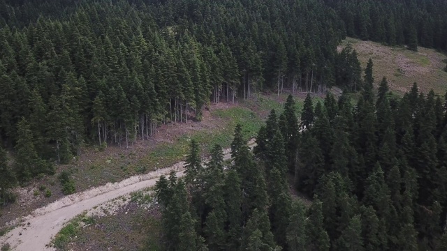 覆盖着青草和森林的山地高原的丘陵表面。无人机拍摄土耳其安卡拉kızılcahamam视频素材