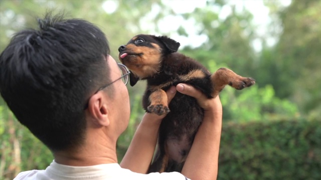 成年男子带着可爱的小狗狗，被舔脸。视频素材