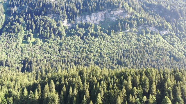 POV从一架无人机的上升在一个广阔的高山山谷与草地，森林和落基山脉，在前景的乡村道路，鸟瞰图视频素材