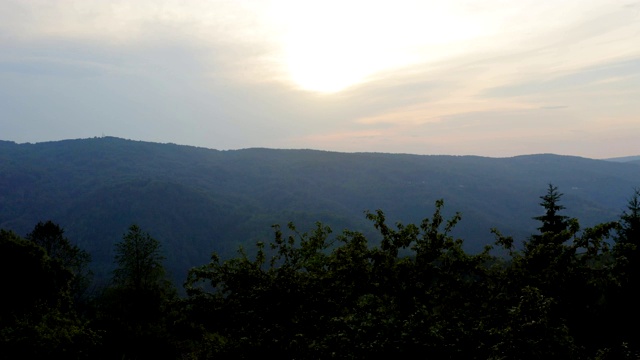 飞过森林，夕阳的颜色在地平线上舞蹈视频素材