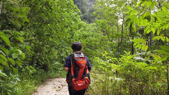 后视图一个亚洲华人中年女性旅行徒步探索怡保霹雳马来西亚森林背包视频素材