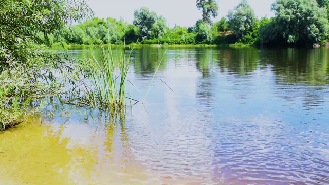 夏天的风景，小沙滩上的河流和绿树在岸边和云倒映在水中。江流，河水在江中流动。微风吹动草地。视频素材