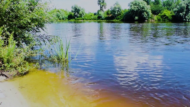 夏天的风景，小沙滩上的河流和绿树在岸边和云倒映在水中。江流，河水在江中流动。微风吹动草地。视频素材