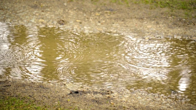 地面上的水和雨滴的景象视频素材