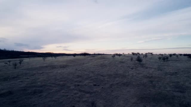 景观的小山丘。干草地。晚上。远处有风车。无人机的观点。视频素材