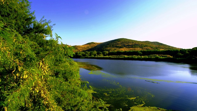 绿湖植物山视频素材