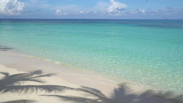 加勒比海碧绿的海滩景色视频素材