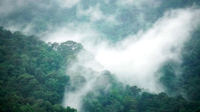 雨季热带森林山、清迈阴云密布视频素材