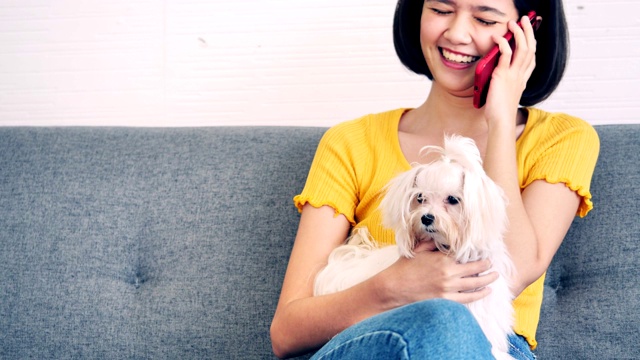 一名年轻女子和她的马耳他犬在沙发上玩手机。视频素材