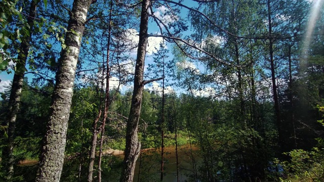 ． 高佳河和白色砂岩悬崖的谢蒂尼兹岩宁静的风景。视频素材