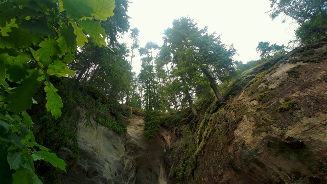 ． 高佳河和白色砂岩悬崖的谢蒂尼兹岩宁静的风景。视频素材