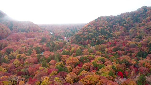 空中户外山野自然落视频素材