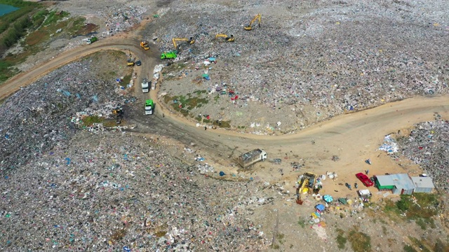 垃圾堆。饥饿的海鸥正在Waste stock视频中寻找食物…保存视频素材