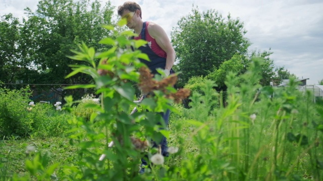 工人和割草机。一名男子用汽油修剪器修剪花园里的绿草视频素材