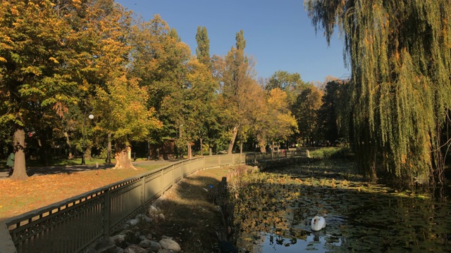 罗马尼亚城市克雷奥瓦的自然色彩视频素材