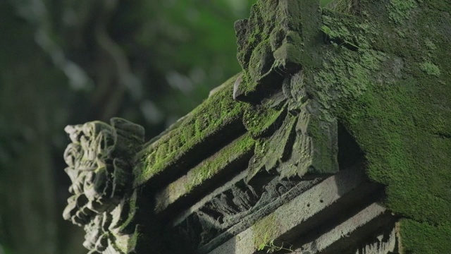 长满苔藓的古代建筑细节视频素材