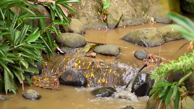 小河流视频素材