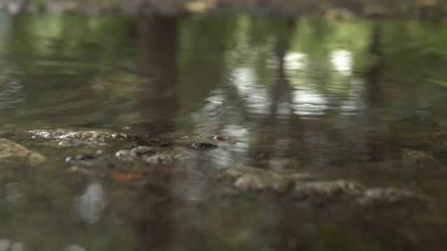 雨水落在水坑里。视频素材