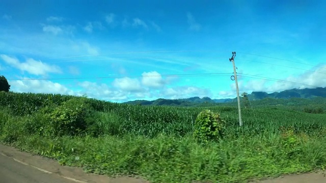 在乡村道路上开车视频素材