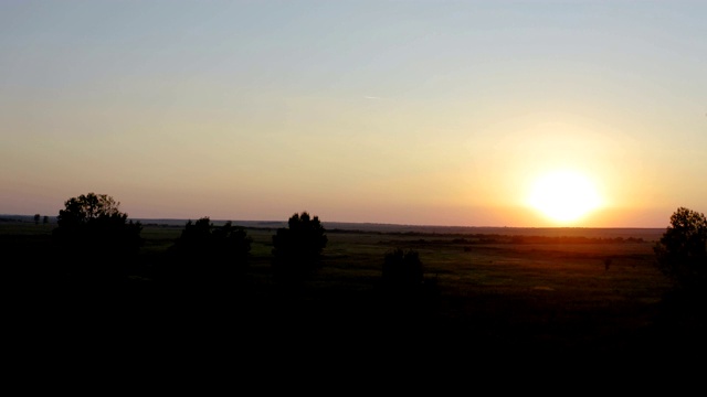 飞过一片以夕阳为背景的广阔田野视频素材