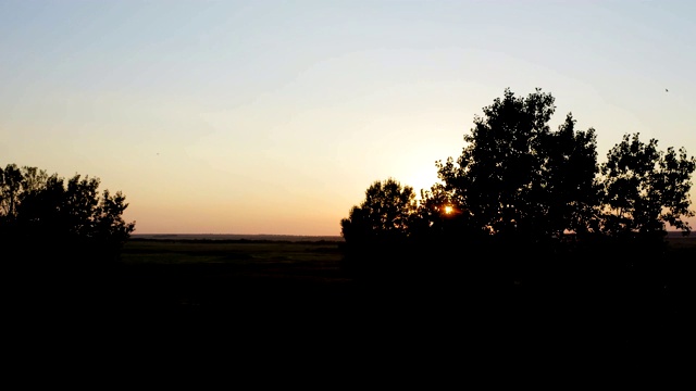 飞过一大片田野上的几棵树，背景是夕阳视频素材