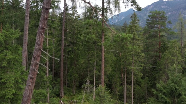 在巴伐利亚阿尔卑斯山脉的景色前，无人机从树林间降落视频素材