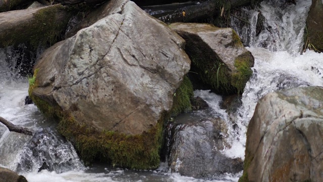 瀑布和石头，森林里的河流视频素材