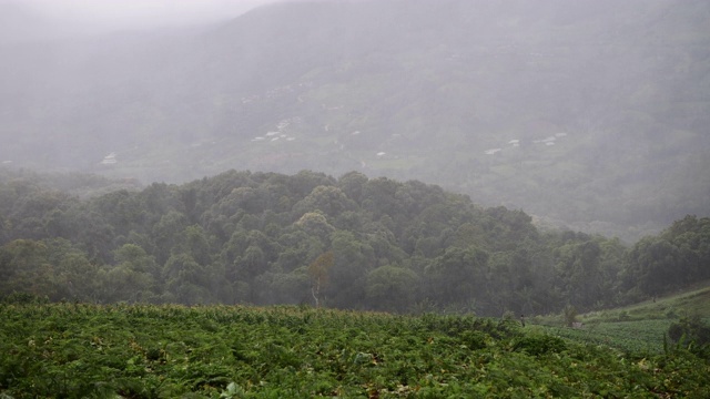 风下雨视频素材