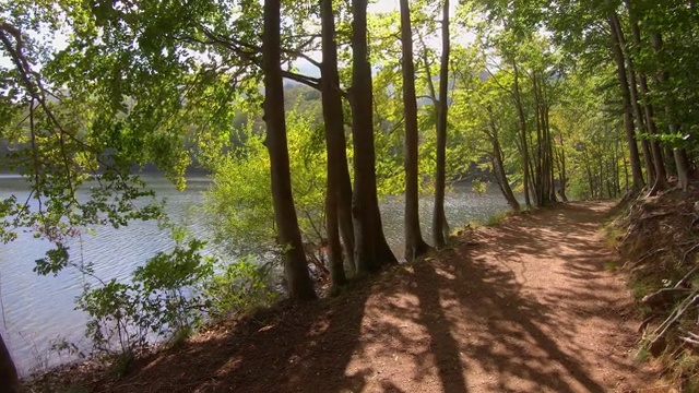 在一个阳光明媚的夏天，在西班牙蒙特塞尼山的山毛榉森林里，湖附近有背光的小路视频素材