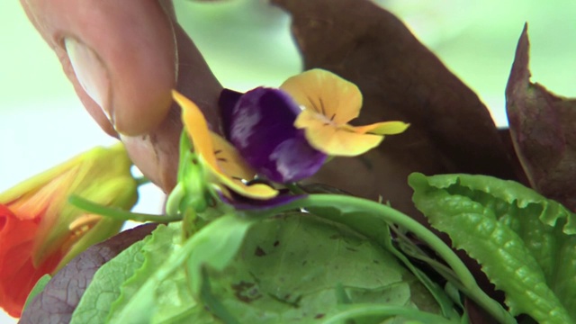 把可以吃的花放在盘子里视频素材