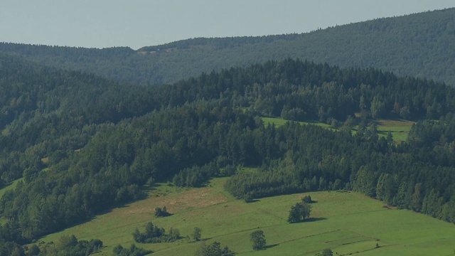 青山视频素材